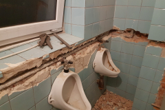 20170121_182124 – kopie – kopie (2)